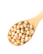 spoon